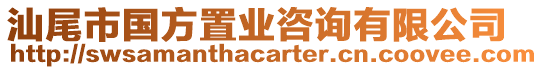 汕尾市國(guó)方置業(yè)咨詢有限公司