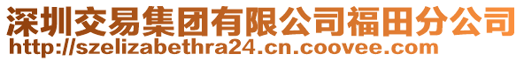 深圳交易集团有限公司福田分公司