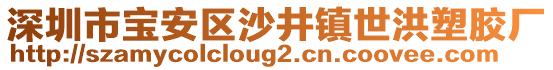 深圳市寶安區(qū)沙井鎮(zhèn)世洪塑膠廠