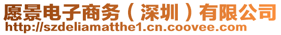 愿景電子商務(深圳)有限公司