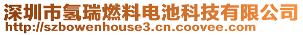 深圳市氫瑞燃料電池科技有限公司