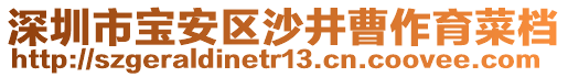 深圳市寶安區(qū)沙井曹作育菜檔