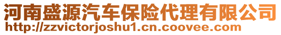 河南盛源汽車保險代理有限公司