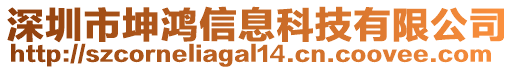 深圳市坤鴻信息科技有限公司