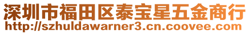 深圳市福田區(qū)泰寶星五金商行