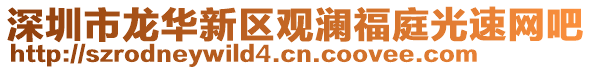 深圳市龍華新區觀瀾福庭光速網吧