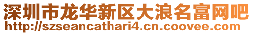 深圳市龍華新區大浪名富網吧