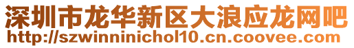 深圳市龍華新區(qū)大浪應(yīng)龍網(wǎng)吧