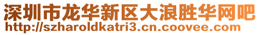 深圳市龍華新區(qū)大浪勝華網(wǎng)吧