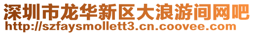 深圳市龍華新區(qū)大浪游間網(wǎng)吧