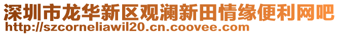 深圳市龍華新區(qū)觀瀾新田情緣便利網(wǎng)吧