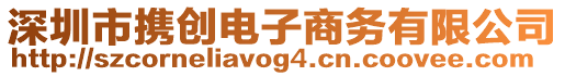 深圳市攜創(chuàng)電子商務有限公司