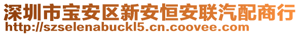 深圳市寶安區(qū)新安恒安聯(lián)汽配商行