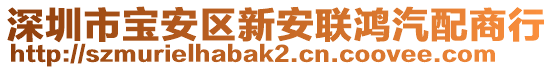 深圳市寶安區(qū)新安聯(lián)鴻汽配商行
