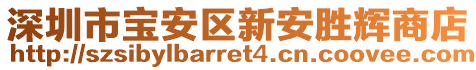 深圳市寶安區(qū)新安勝輝商店