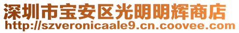 深圳市寶安區(qū)光明明輝商店