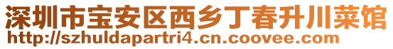 深圳市寶安區(qū)西鄉(xiāng)丁春升川菜館