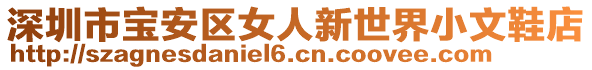 深圳市寶安區(qū)女人新世界小文鞋店