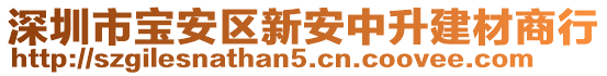 深圳市寶安區(qū)新安中升建材商行