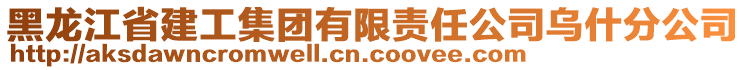 黑龍江省建工集團(tuán)有限責(zé)任公司烏什分公司