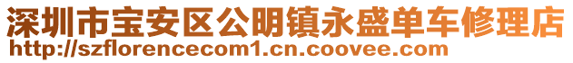 深圳市寶安區(qū)公明鎮(zhèn)永盛單車修理店