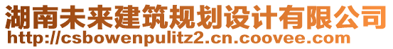 湖南未來建筑規(guī)劃設(shè)計有限公司