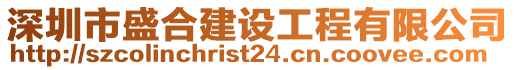 深圳市盛合建设工程有限公司