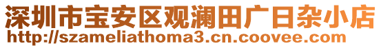 深圳市寶安區(qū)觀瀾田廣日雜小店