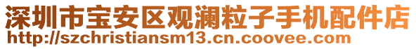 深圳市寶安區(qū)觀瀾粒子手機配件店