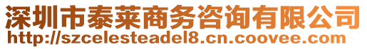 深圳市泰萊商務(wù)咨詢有限公司