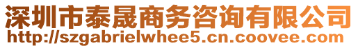 深圳市泰晟商務咨詢有限公司