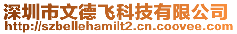 深圳市文德飛科技有限公司