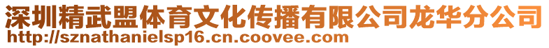 深圳精武盟體育文化傳播有限公司龍華分公司