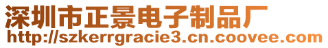 深圳市正景電子制品廠