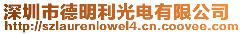 深圳市德明利光電有限公司