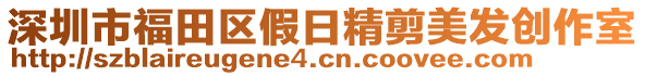 深圳市福田區(qū)假日精剪美發(fā)創(chuàng)作室