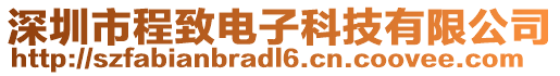 深圳市程致電子科技有限公司