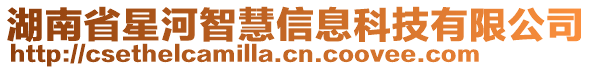 湖南省星河智慧信息科技有限公司