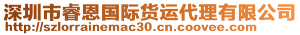深圳市睿恩國際貨運代理有限公司