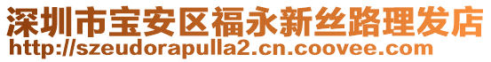 深圳市寶安區福永新絲路理發店