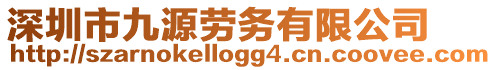 深圳市九源勞務有限公司