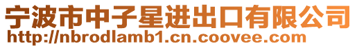 寧波市中子星進(jìn)出口有限公司