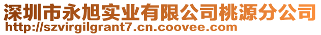 深圳市永旭實(shí)業(yè)有限公司桃源分公司