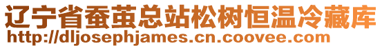 遼寧省蠶繭總站松樹恒溫冷藏庫