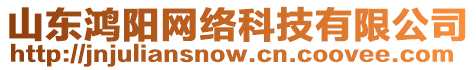 山東鴻陽(yáng)網(wǎng)絡(luò)科技有限公司