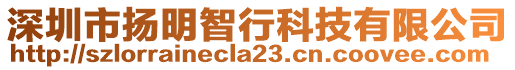 深圳市揚(yáng)明智行科技有限公司