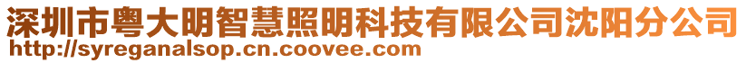 深圳市粵大明智慧照明科技有限公司沈陽分公司