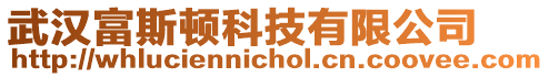 武漢富斯頓科技有限公司