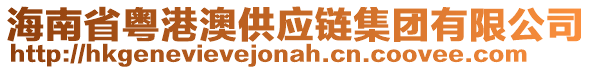 海南省粵港澳供應(yīng)鏈集團(tuán)有限公司