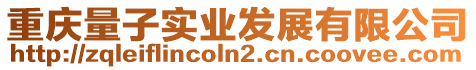 重慶量子實業(yè)發(fā)展有限公司